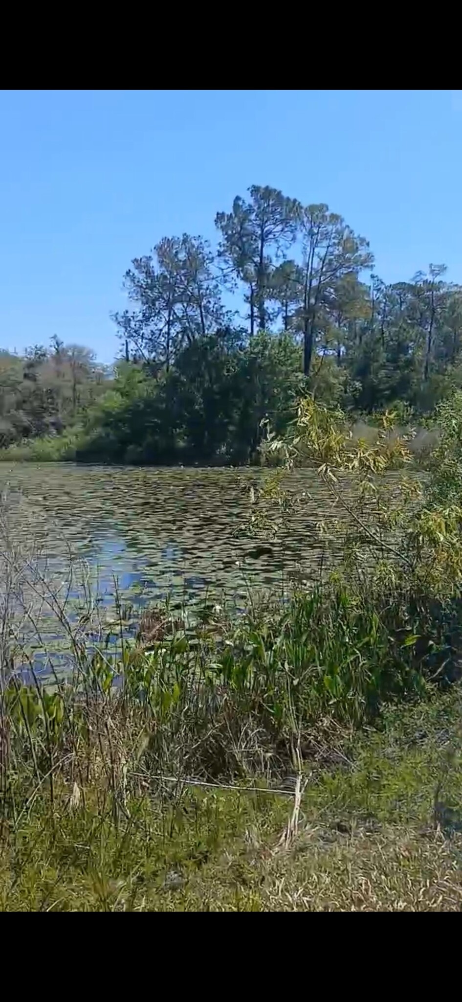 Richardson Blvd & Mutual Dr, Webster, FL for Sale