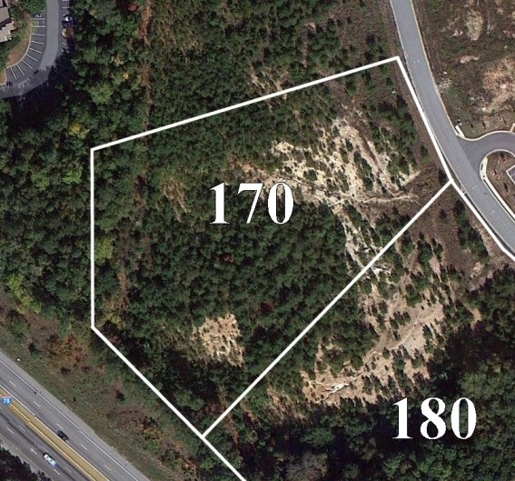 170 N Park Trl, Stockbridge, GA for Sale