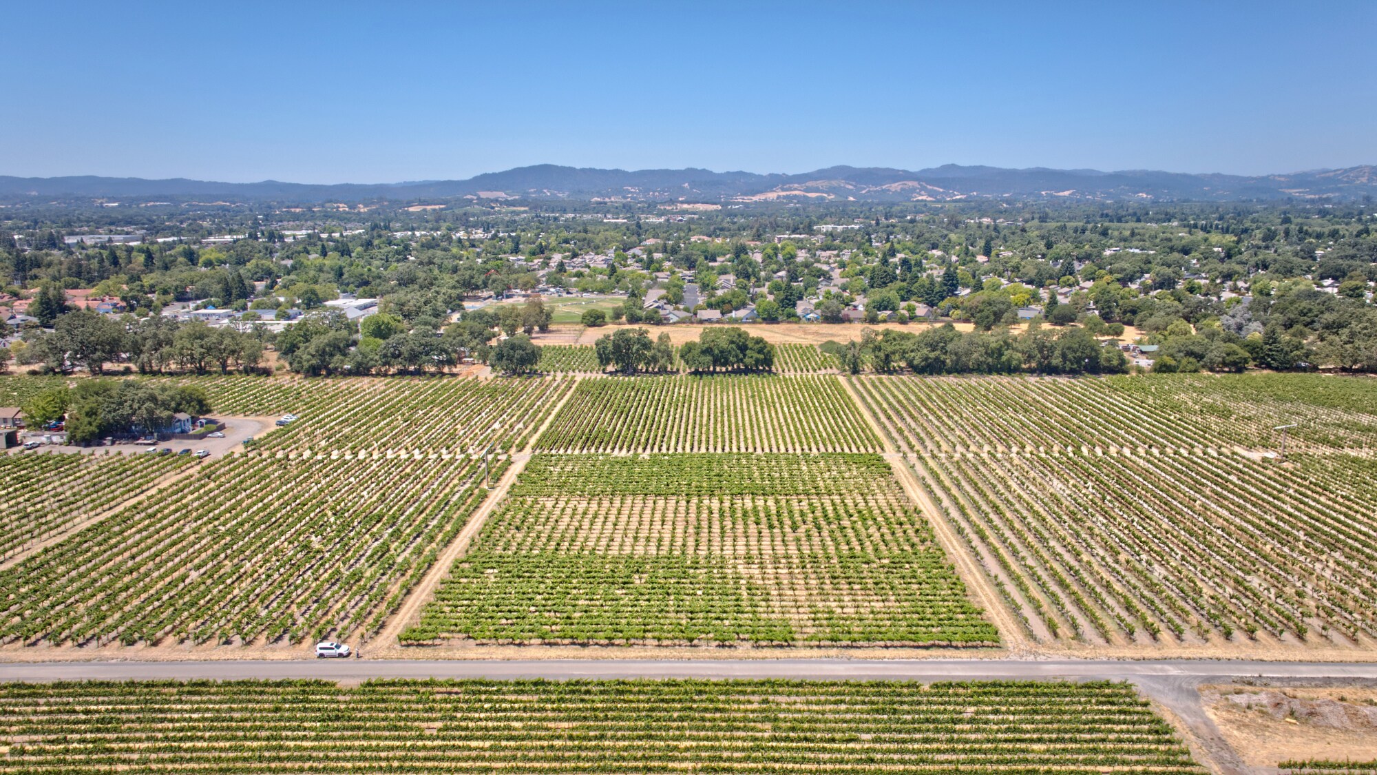 179 Pleasant Ave, Santa Rosa, CA for Sale