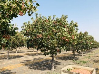 Tranquillity, CA Commercial Land - W South Ave @ S Calaveras Ave Tranquillity, CA Commercial Land - W South Ave @ S Calaveras Ave