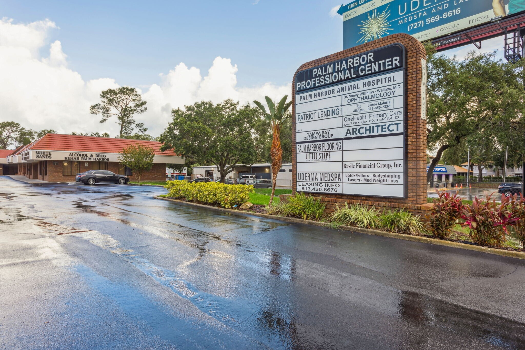 36310-36472 Us Hwy 19 N, Palm Harbor, FL for Rent