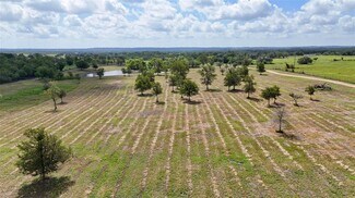 Red Rock, TX Agricultural Land - TBD Watterson rd Red Rock, TX Agricultural Land - TBD Watterson rd