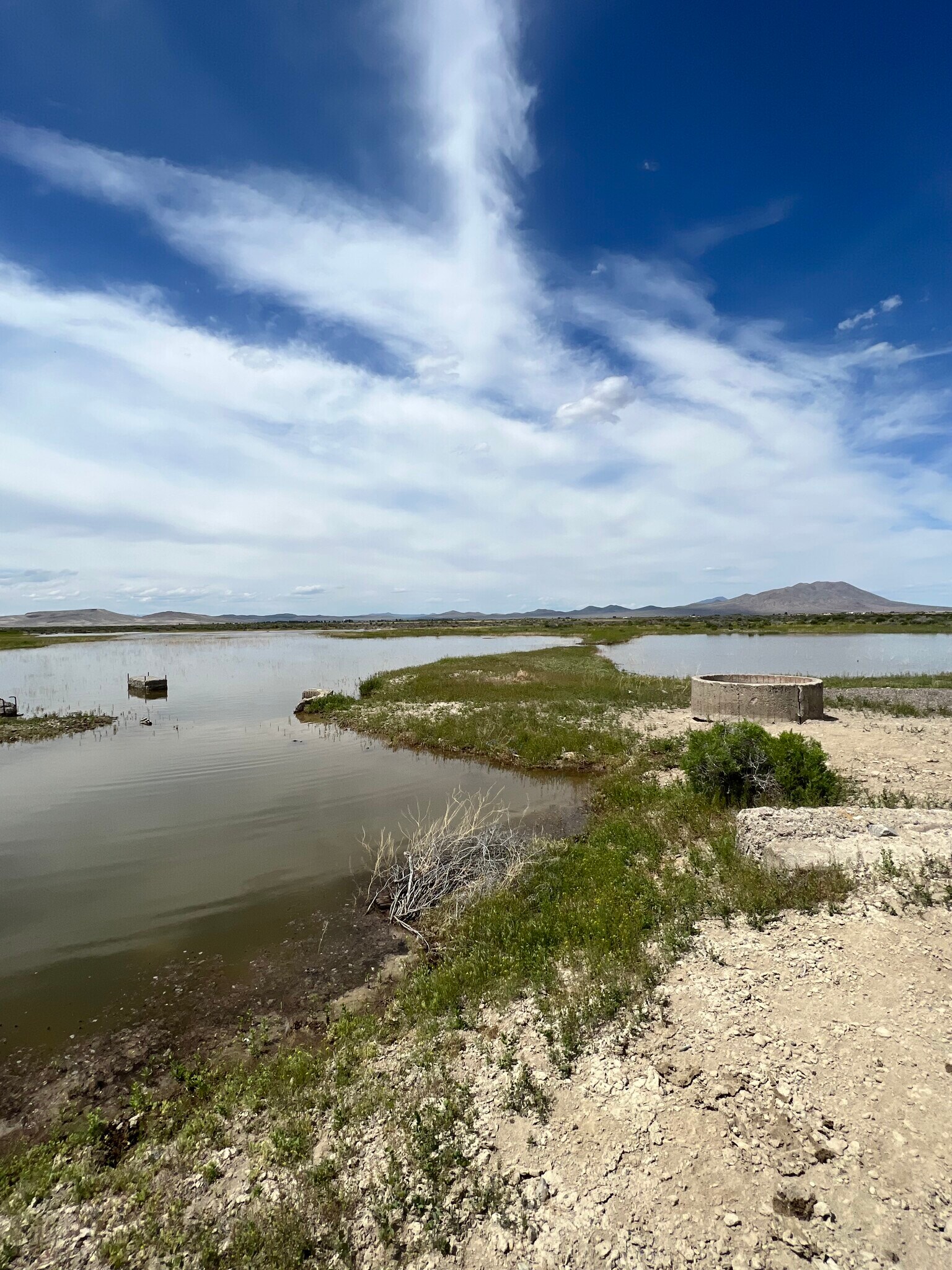 Winnemucca, Winnemucca, NV for Sale