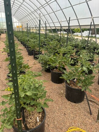 Wellington, CO undefined - 12155 N County Road 15