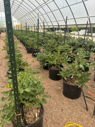 Wellington, CO Residential Income - 12155 N County Road 15 Wellington, CO Residential Income - 12155 N County Road 15