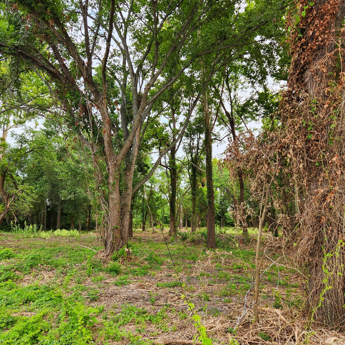 406 Tidwell Road, Houston, TX for Sale