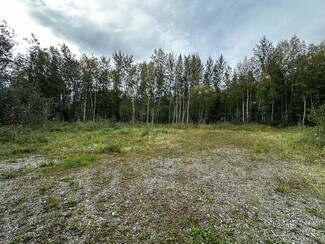 North Pole, AK Commercial Land - 3151 Badger rd