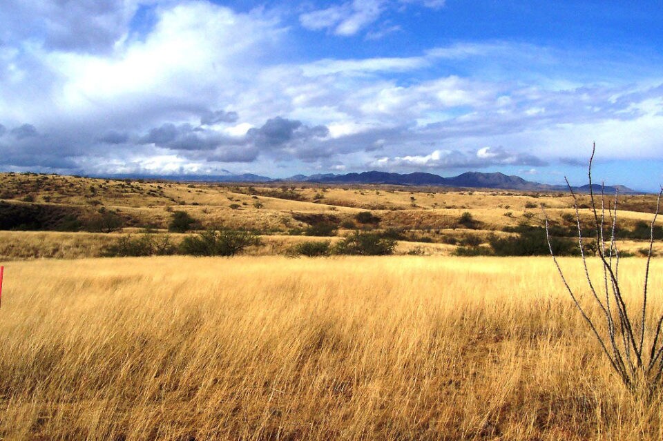 , Benson, AZ for Sale