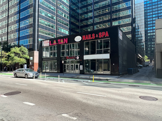 Chicago, IL Retail - 113-117 S Clinton St