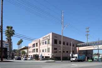 Los Angeles, CA Office/Medical - 1700 E Cesar E Chavez Ave