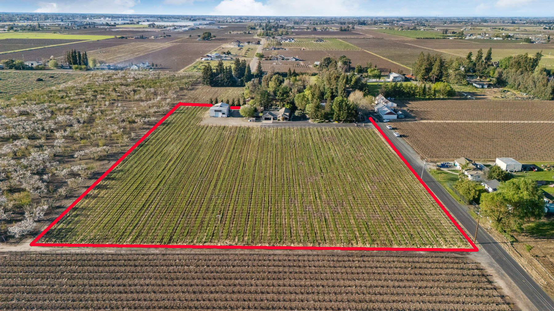 13299 N Curry Ave, Lodi, CA for Sale