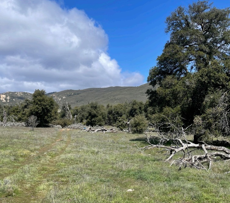 Guatay, Descanso, CA for Sale