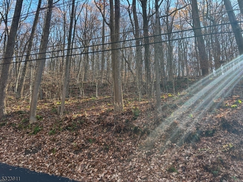 120 Millbrook Rd, Washington, NJ for Sale