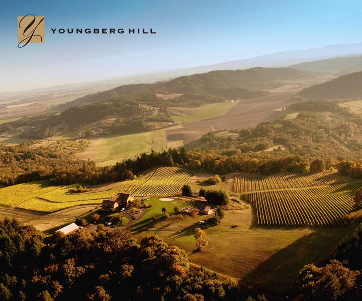 10660 SW Youngberg Hill Rd, Mcminnville, OR for Sale