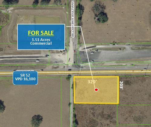 State Road 52 @ Bellamy Brothers Blvd, San Antonio, FL for Sale