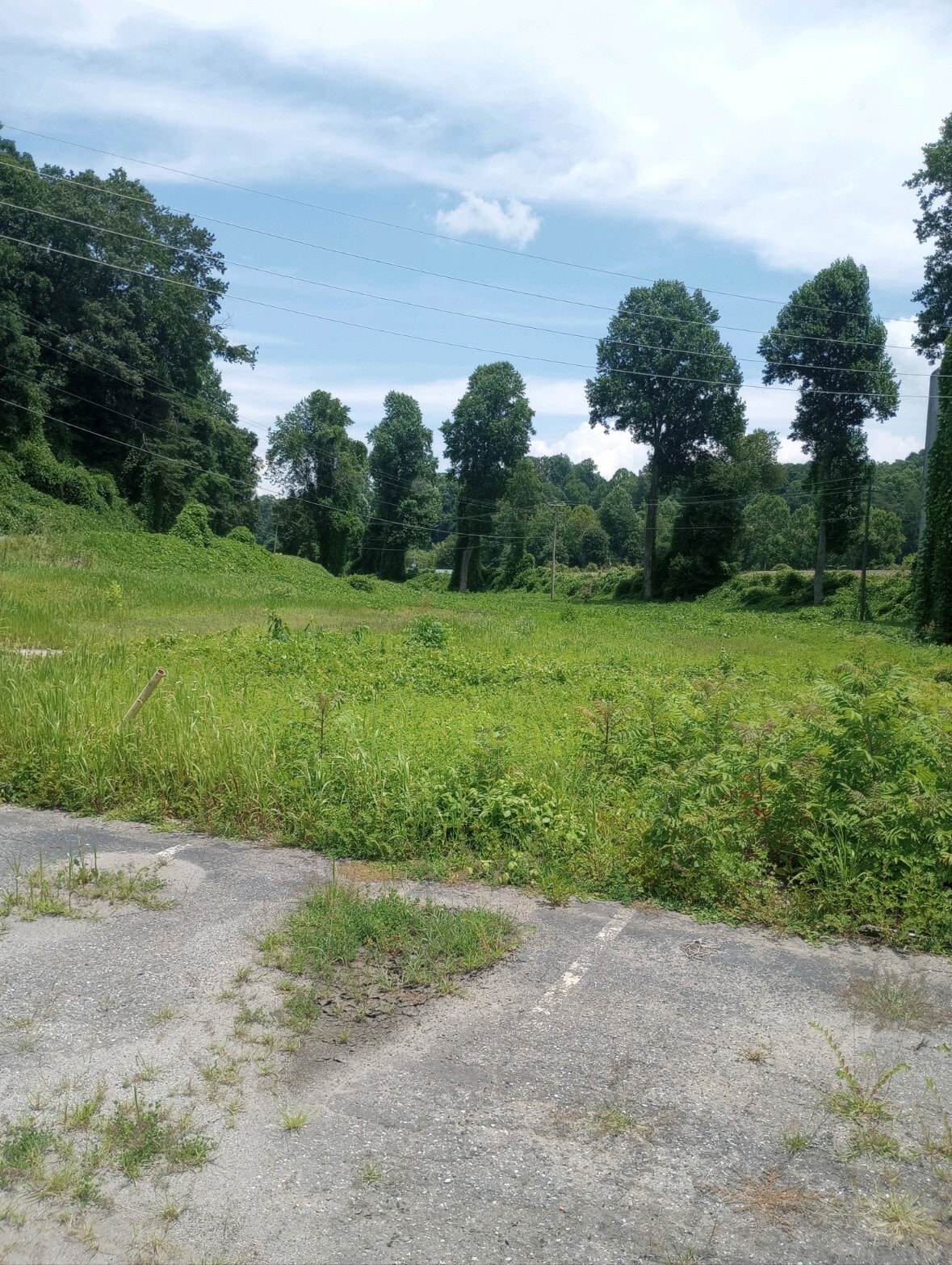 1011 Bryson Walk`, Bryson City, NC for Rent