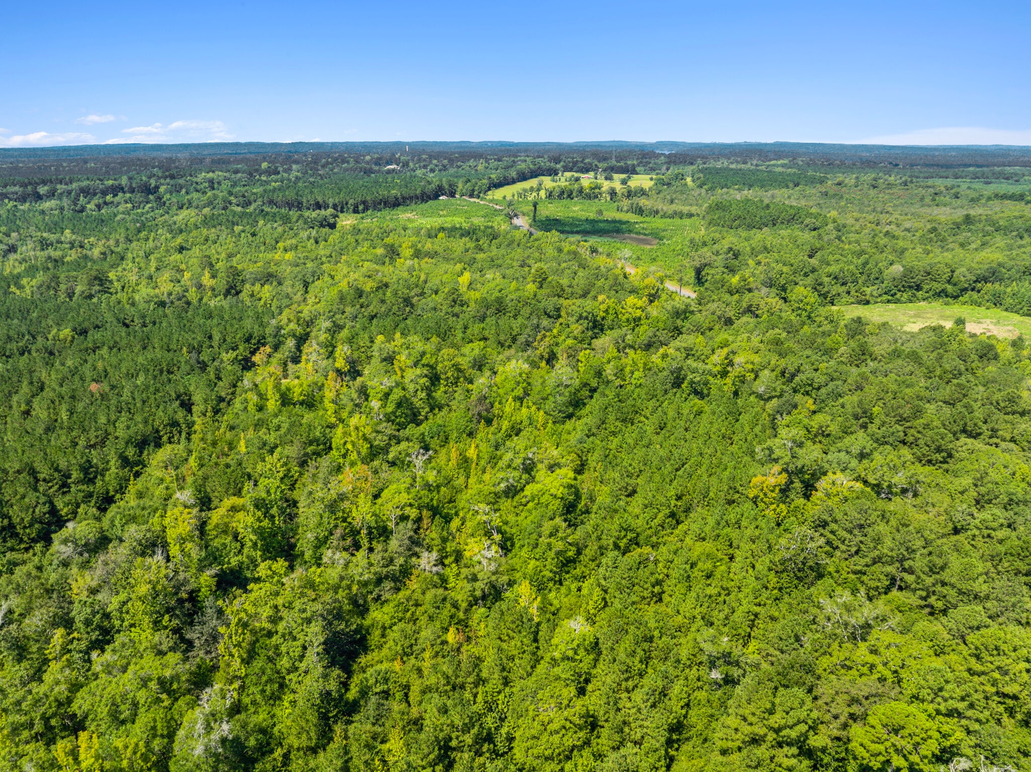 7471 Highway 155, Saline, LA for Sale