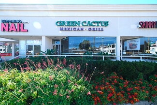 Roslyn Heights, NY Retail - 191-219 Mineola Ave