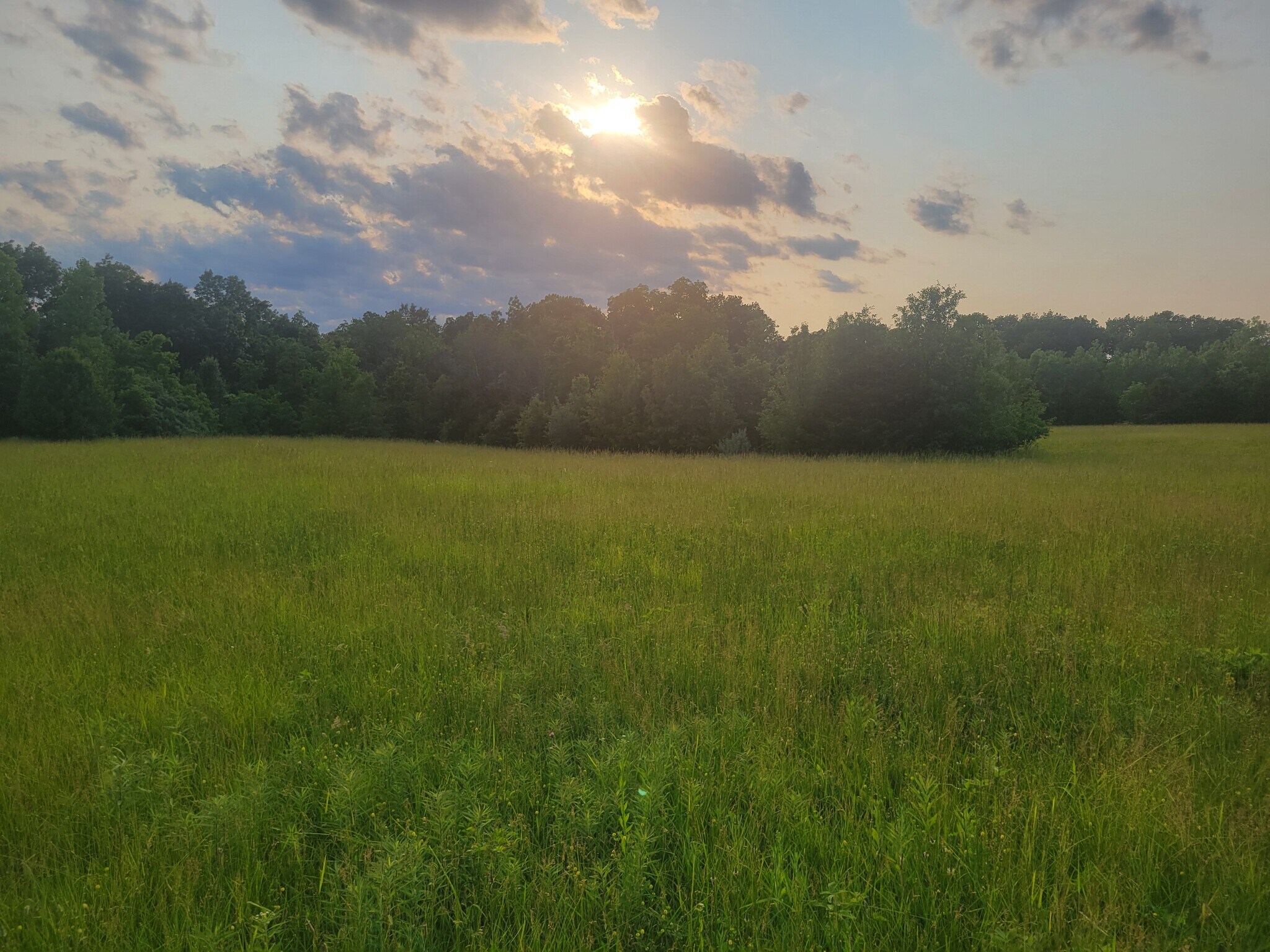 229 Red Oaks dr, Troy, MO for Sale