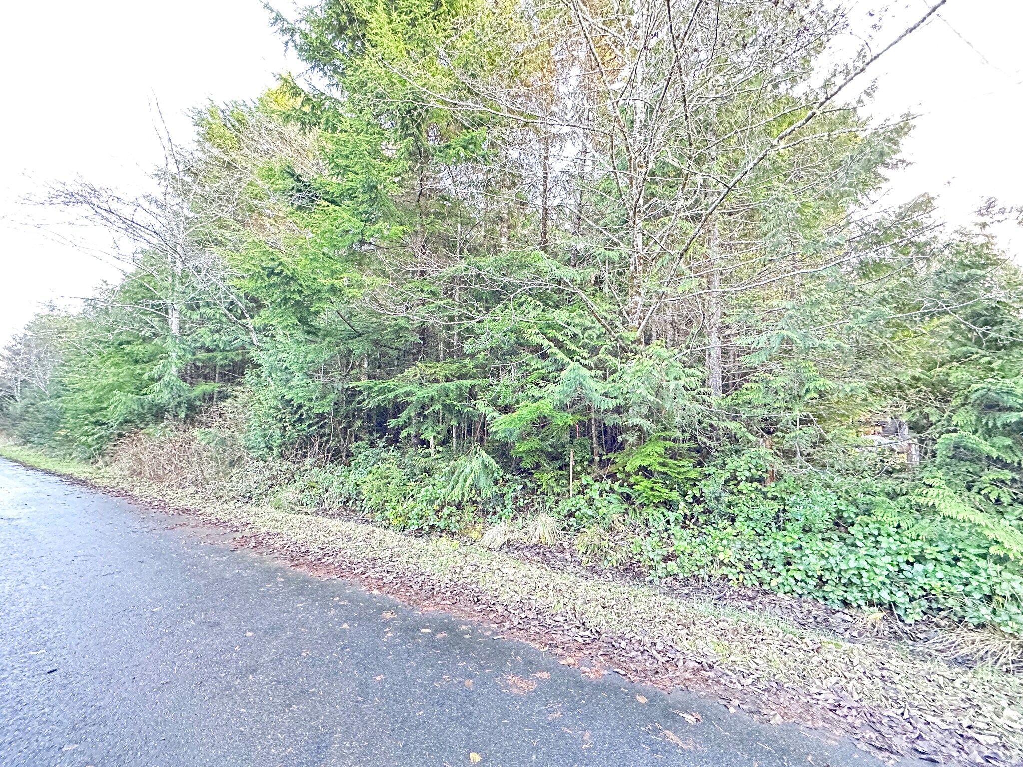 50 Rainbow Pacific Beach, WA 98571 Land Property for Lease on