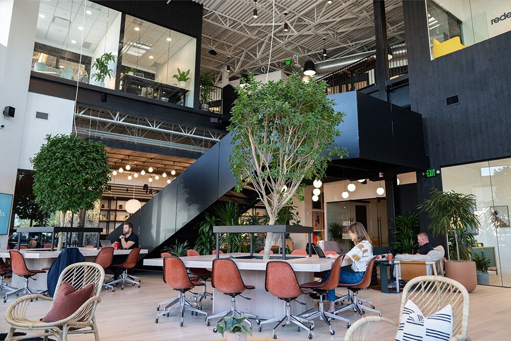 837 N 34th St, Seattle, WA for Rent