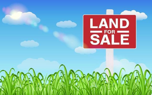 0 Main St, Alden, NY for Sale