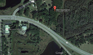 Wesley Chapel, FL Commercial Land - 30607 State Road 54