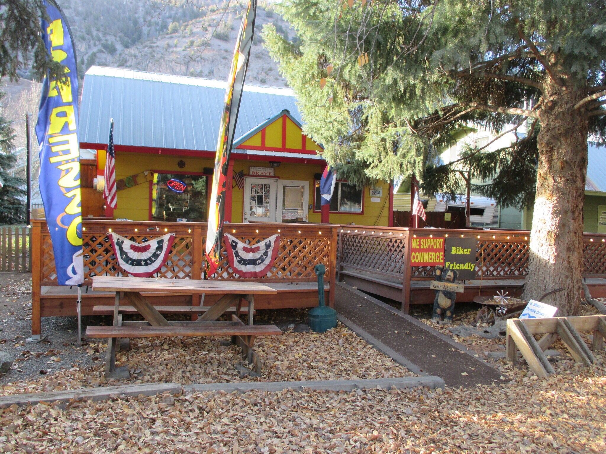 205 N Gunnison Ave, Lake City, CO for Sale