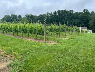 Hendersonville, NC Specialty - 124 Sandy Hill Ln Hendersonville, NC Specialty - 124 Sandy Hill Ln