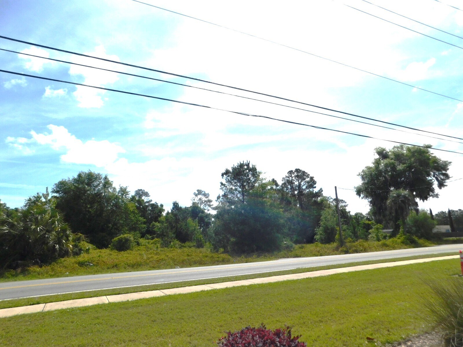 147 SW Sisters Rd Lake City, FL 32025 Land Property for Lease