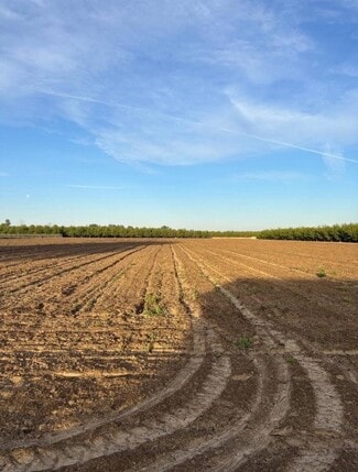 Selma, CA Agricultural Land - 9449 McCall ave Selma, CA Agricultural Land - 9449 McCall ave