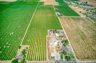 Sanger, CA Agricultural Land - 3590 S McCall Ave Sanger, CA Agricultural Land - 3590 S McCall Ave